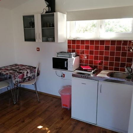 Nice Studio Near Centar+Free Parking Ρόβινι Εξωτερικό φωτογραφία