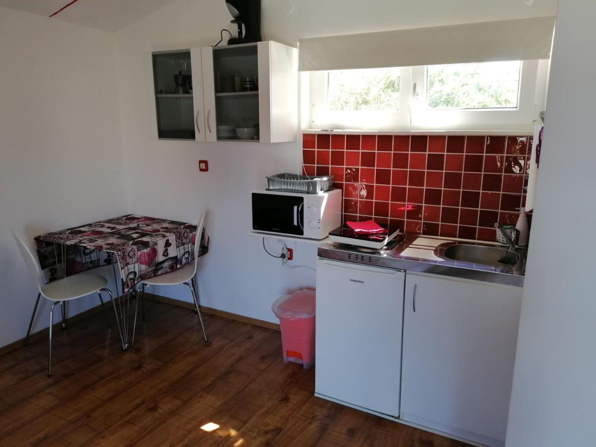 Nice Studio Near Centar+Free Parking Ρόβινι Εξωτερικό φωτογραφία